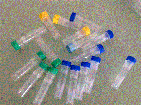 蛋白质磷酸酯酶-2B催化亚单位抗体丨B细胞迁移基因2