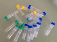 蛋白质磷酸酯酶-2B催化亚单位抗体丨B细胞迁移基因2