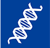 DNA polymerase I Klenow fragment