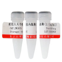 人AnnexinIV/Annexin A4重组蛋白