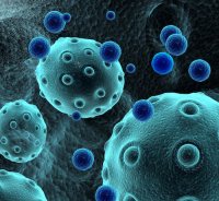 外泌体技术服务