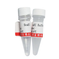 sodium-channel阻断剂（Nicainoprol）