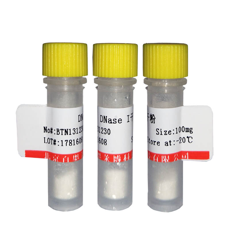 硼砂-氯化钙缓冲液(pH8.0)