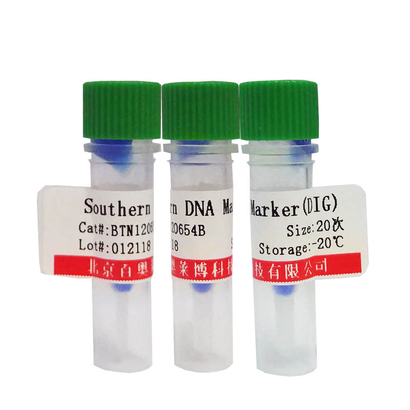 PCR Buffer套装(用于PCR优化)