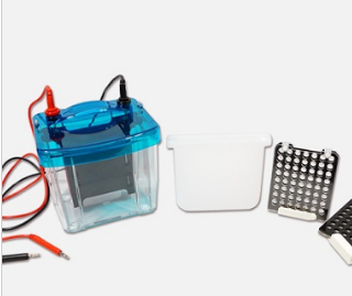 北京六一转印电泳仪（注塑）湿转 DYCZ-40G