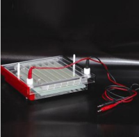 北京六一快速凝胶电泳仪 DYCP-44P