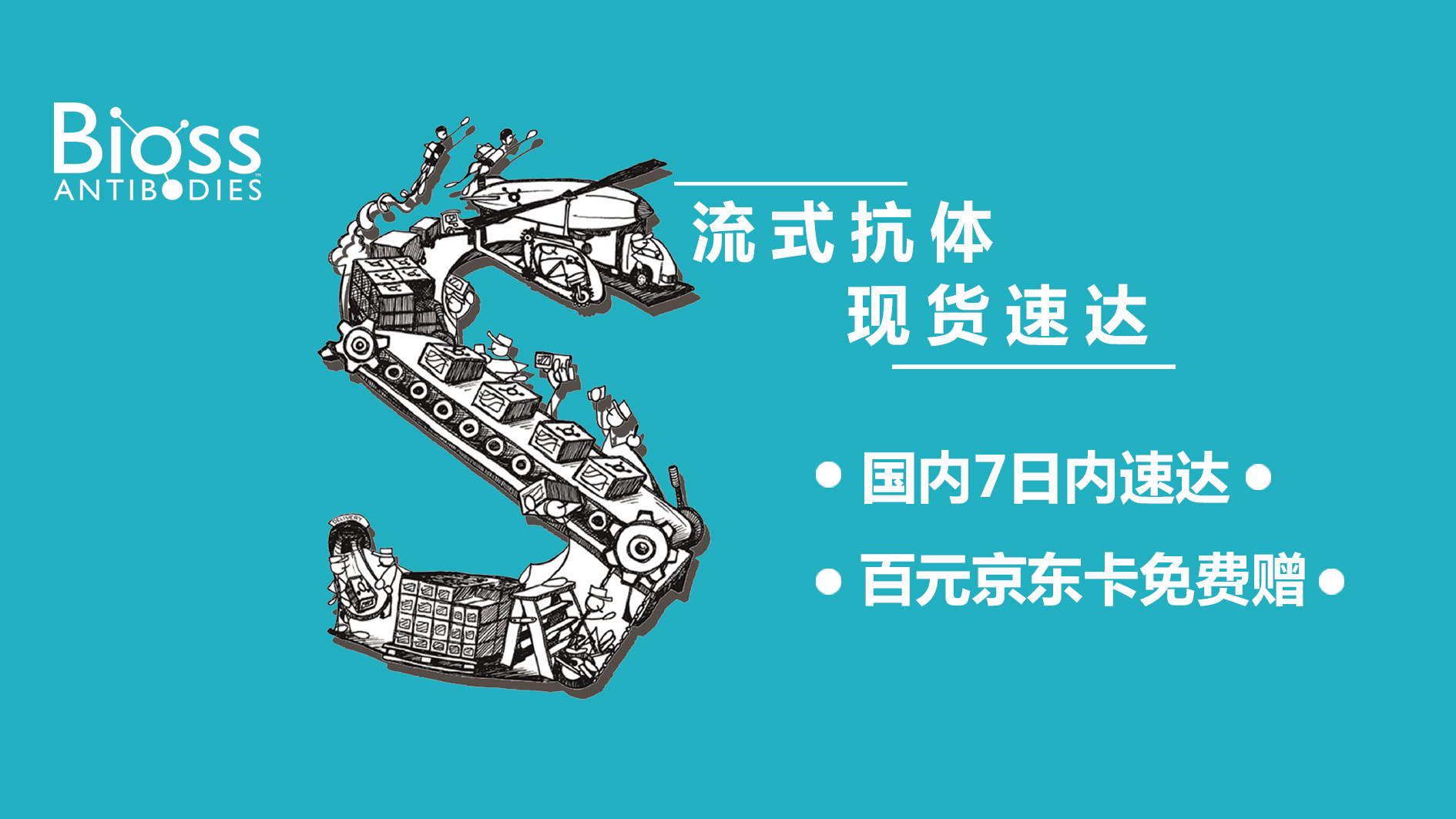 Bioss高品质流式抗体 现货速达!