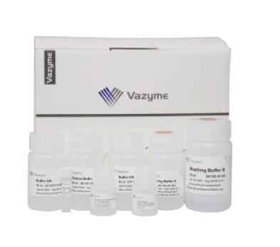 FastPure Cell/Tissue DNA Isolation Mini Kit