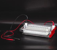 北京六一快速凝胶电泳仪  DYCP-44N