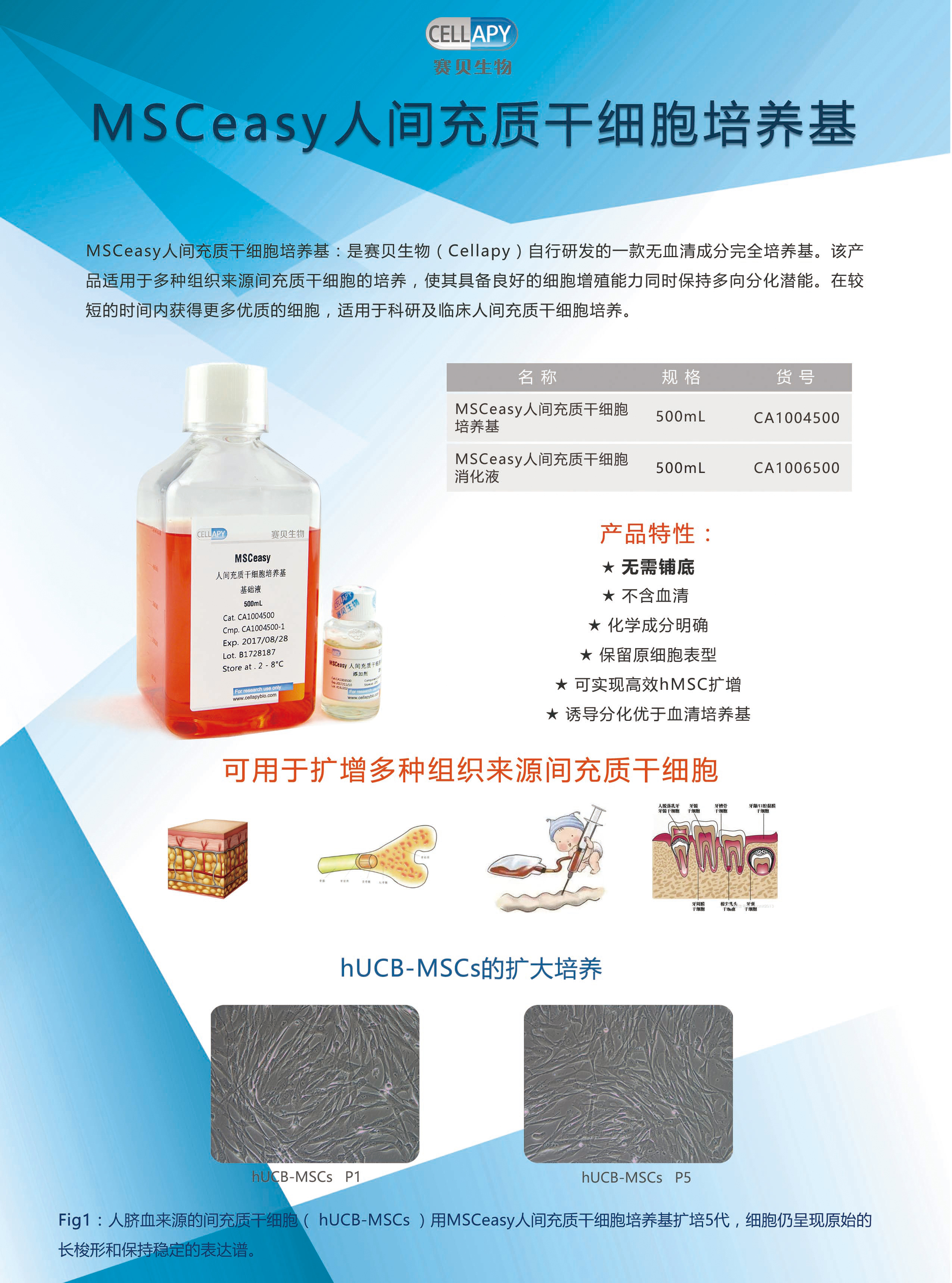 接下来我们将要有两款新品