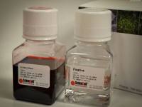 油红O染色试剂盒-成酯检测 Oil Red O Staining Kit