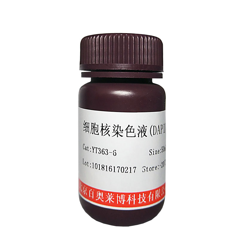 碘化丙啶(PI)染液(即用型)