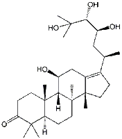 麦泽泻醇A19885-10-0