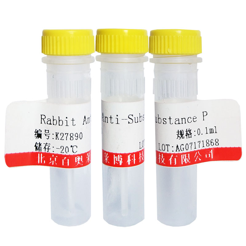 HRP标记兔抗猫IgG抗体