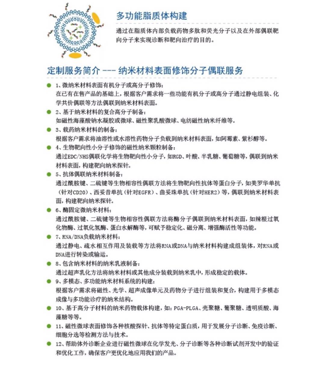 纳米药物载体构建