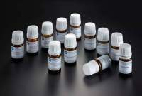 白蜡树素；涔皮素