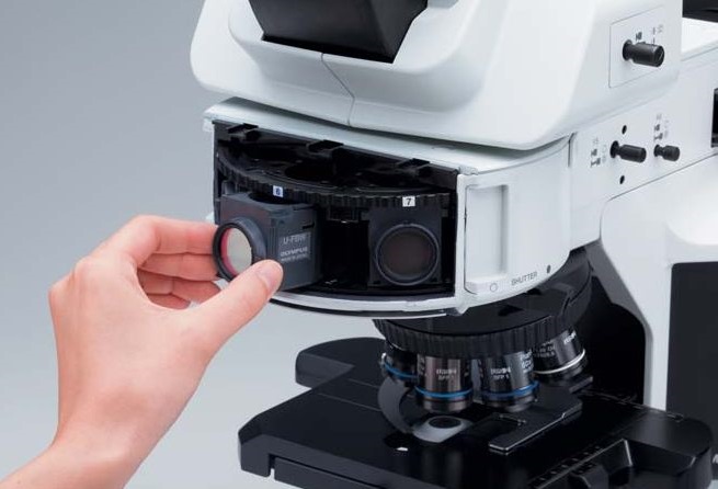 奥林巴斯BX53生物显微镜