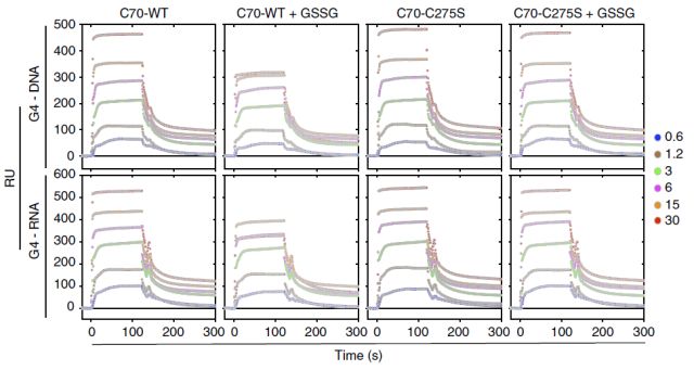 RNA/DNA与蛋白相互作用