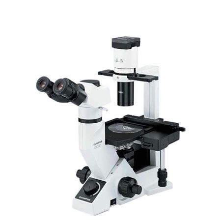 奥林巴斯CKX41倒置生物显微镜