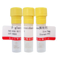己酮糖激酶(KHK)抑制剂