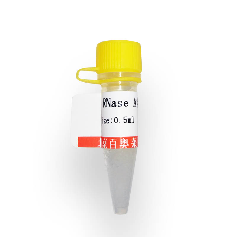 钙荧光探针(Fluo 3-AM)