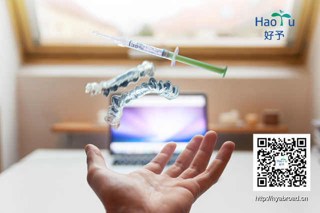 欧洲医学博士申请(MD&Phd)、医学访问学者申请项目(好予