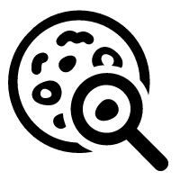 RIP实验