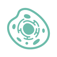 构建过表达/敲除/敲降稳转细胞株服务