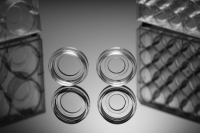 NEST玻底培养皿&玻底培养板 801002