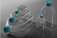 NEST细胞培养瓶 707001