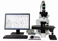 BandView 染色体中期自动扫描分析