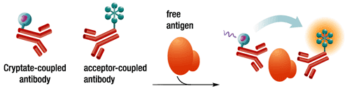 HTRF 技术在高通量细胞因子检测中的应用