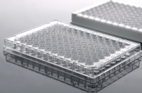 NEST酶标板 504201