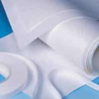 PALL（颇尔）PVDF膜BSP0161，NC膜（硝酸纤维素转印膜）66485 0.2um