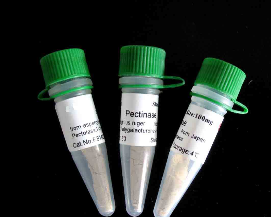 磷酸化丝裂原活化蛋白激酶3抗体0.1ml/100μg