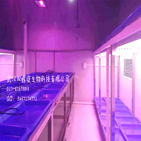 武汉步入式人工气候室设计项目方案设计规划技术指导施工建设
