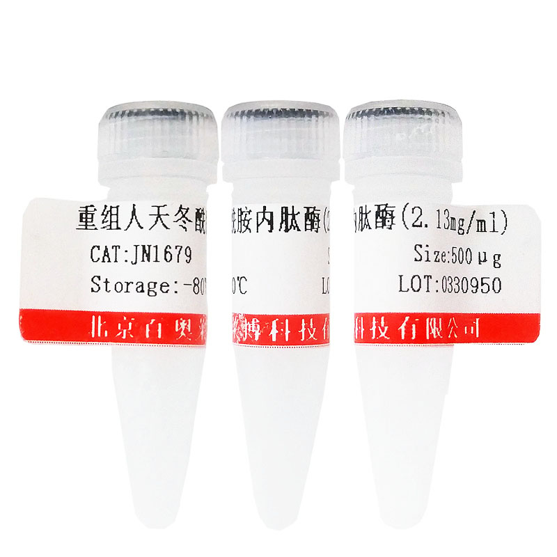 重组小鼠白介素IL-11(C端带Fc标签)