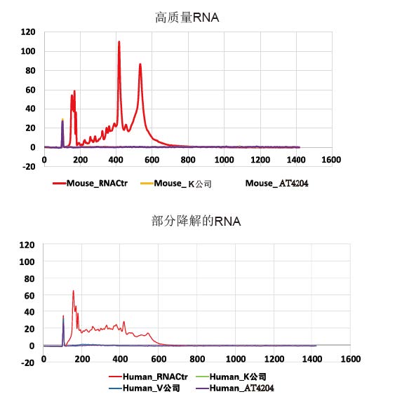 AT4204-03 去核糖体RNA建库试剂盒