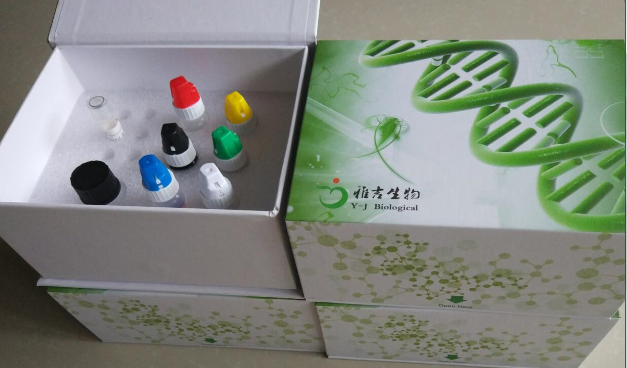 马日本脑炎(JEV)化学发光试剂盒