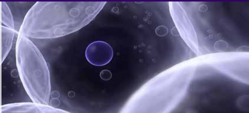 大规模细胞培养外泌体的分离与鉴定