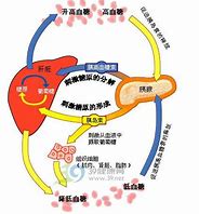 Protein A標(biāo)記34