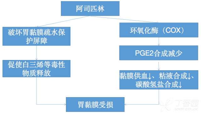 长城会18 抗栓治疗与消化道损伤的预防处理 丁香园