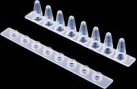 PCR8联管,0.2ml（含盖）