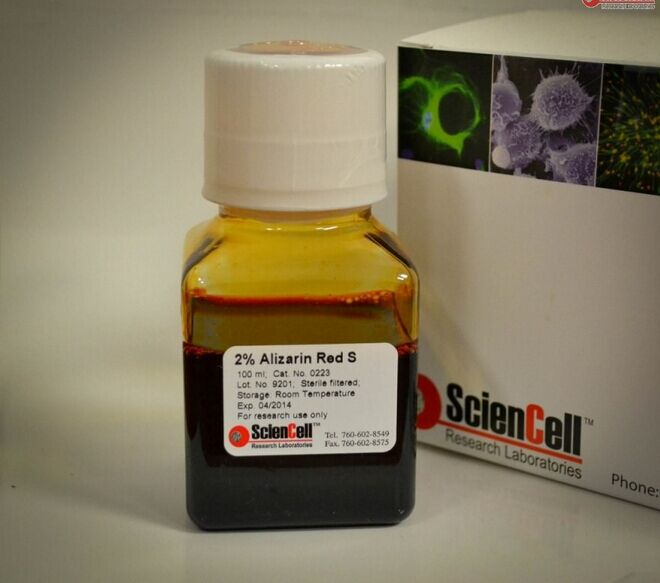 Sciencell，0223，茜素红S染色试剂盒  Alizarin Red S Staining Kit，成骨检测