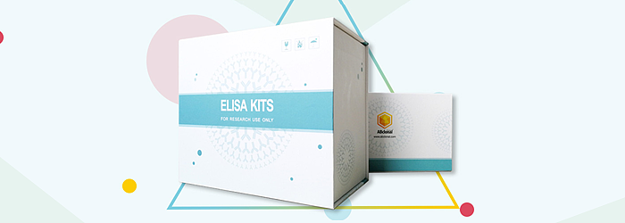 ELISA 试剂盒