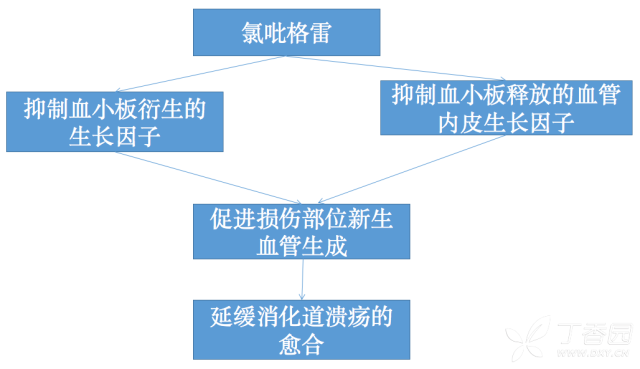 长城会18 抗栓治疗与消化道损伤的预防处理 丁香园