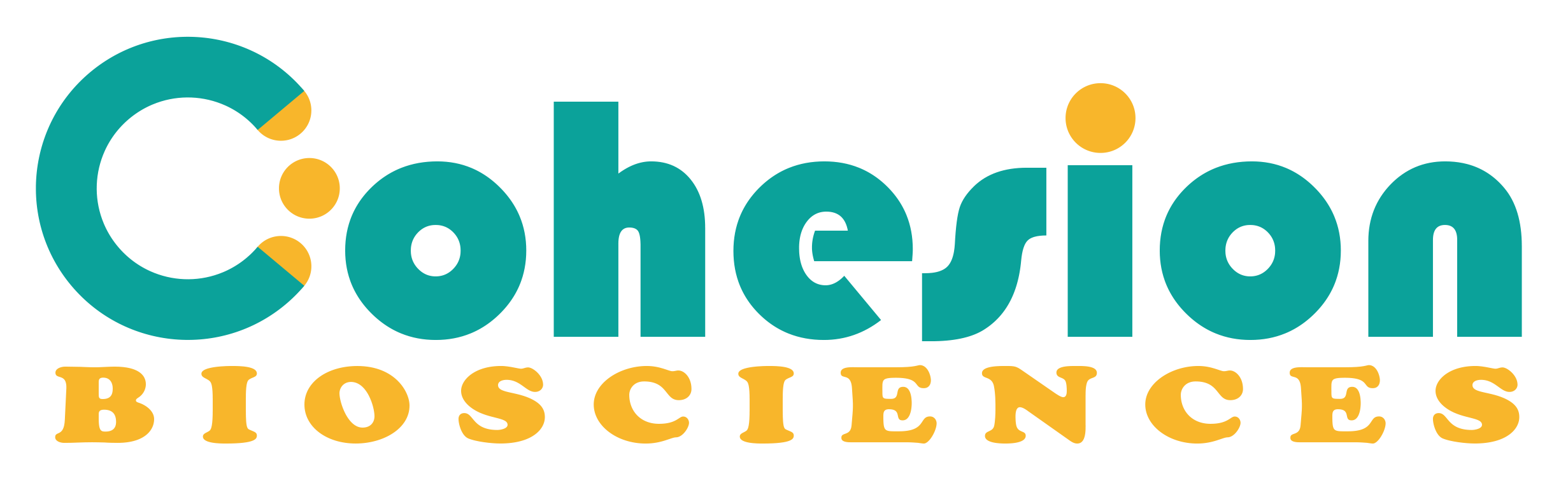 Bradford Protein Assay Kit