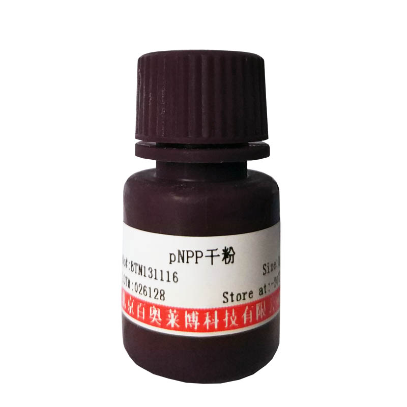 碘化丙啶PI染色液(50μg/ml)
