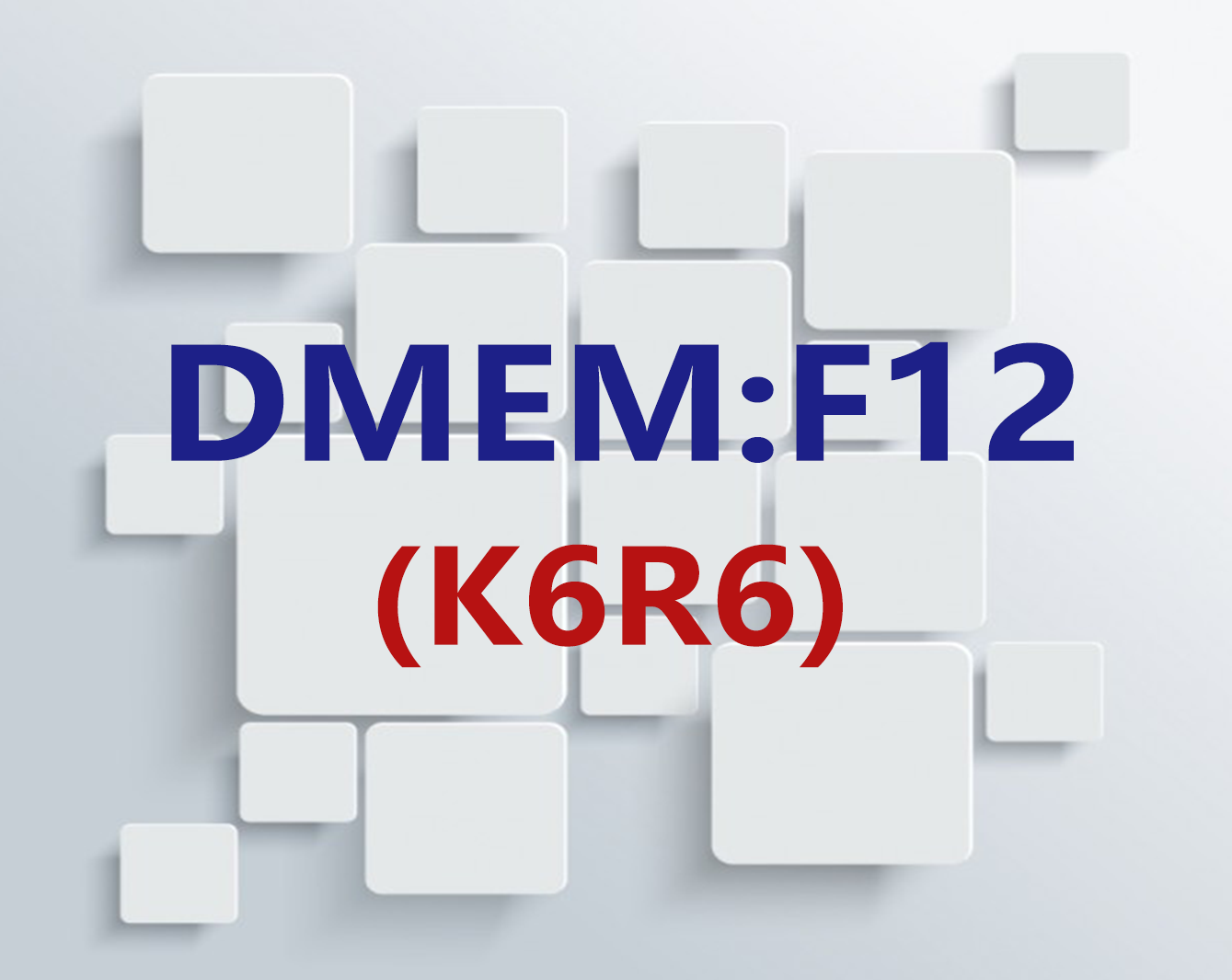 DMEM:F12 SILAC Medium（K6R6） 
