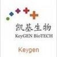 凯基 Annexin V-FITC ReagentKGF001